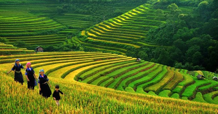 Bài tham khảo số 2