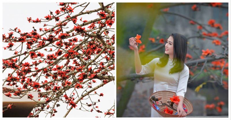 Hải Hậu quê ta ơi